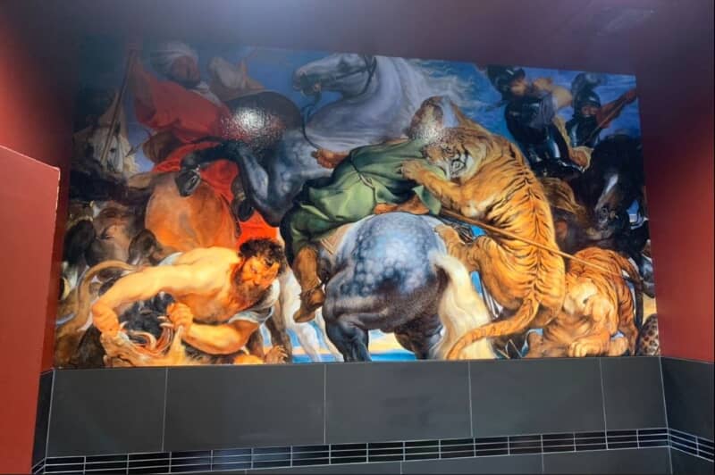 Window & Wall Graphics